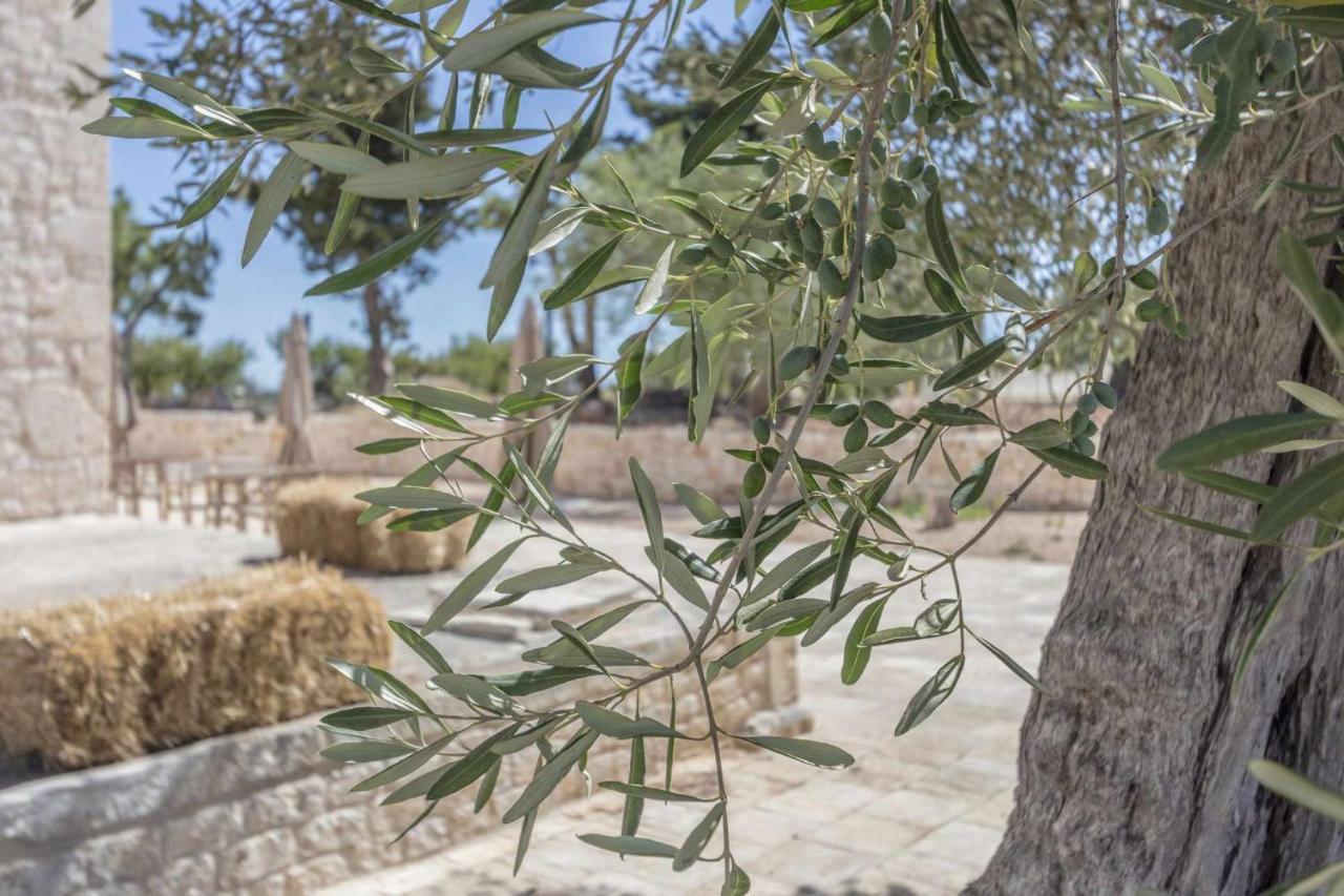 Masseria Fanizzi Conversano Exteriér fotografie