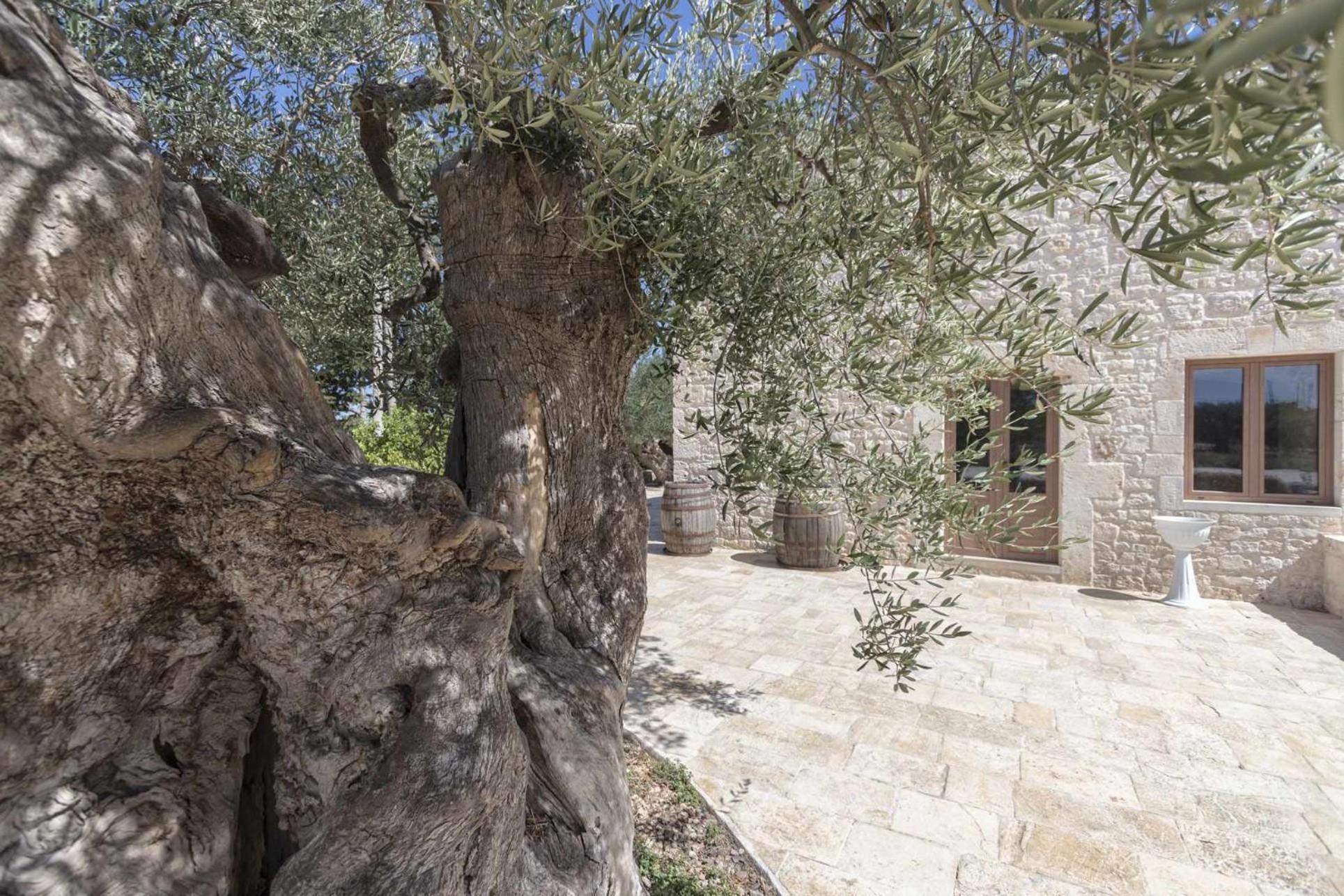 Masseria Fanizzi Conversano Pokoj fotografie